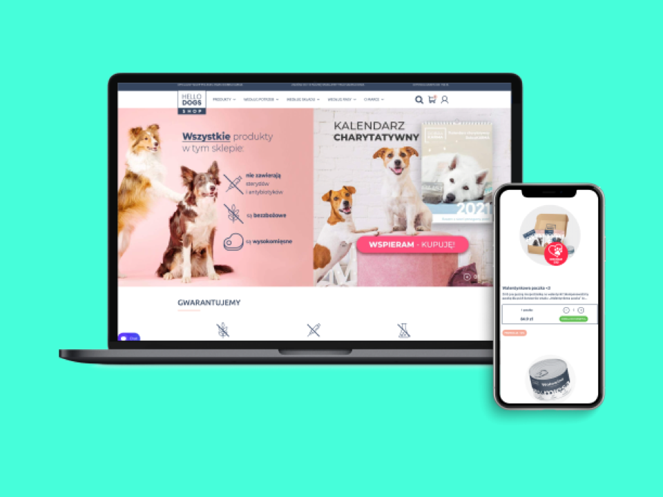 Wzrost przychodów o 233% w 8 miesięcy. Osiągnięcie konwersji na poziomie 4%